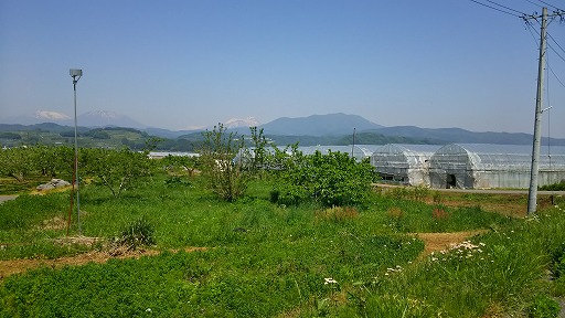 e0020682_22144552.jpg