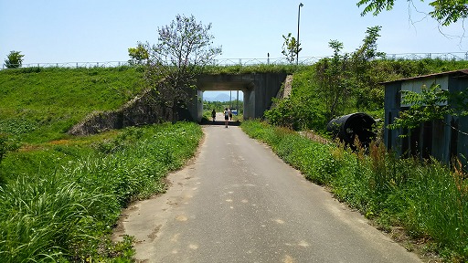 e0020682_2254352.jpg