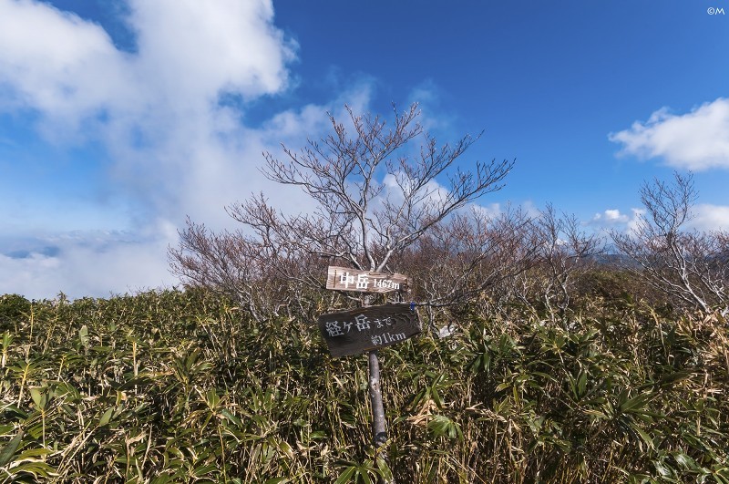 春山。経ヶ岳へ_a0276584_06514341.jpg