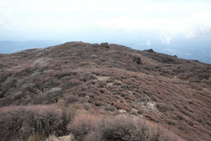 b0339488_15420388.jpg