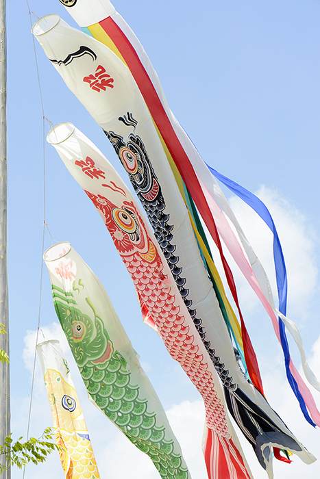 鯉のぼりとフリーペーパー Be Strong And Happy
