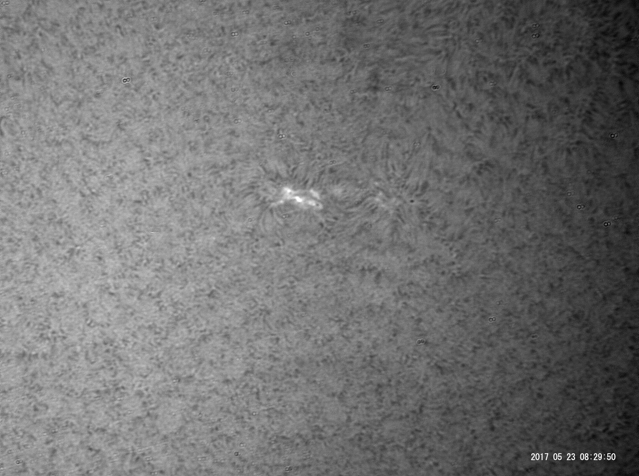 5月23日の太陽_e0174091_16105935.jpg