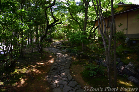 富山散歩～県東部387～皐月の円山庵_b0155692_063037.jpg