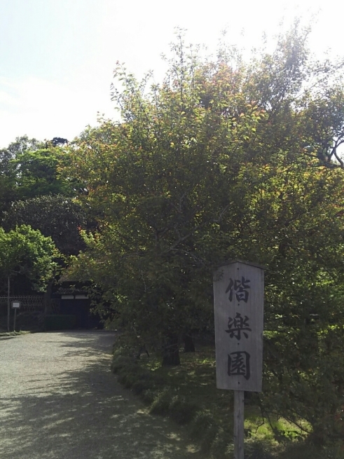 GW水戸の旅 その３（偕楽園）_e0041294_11344445.jpg