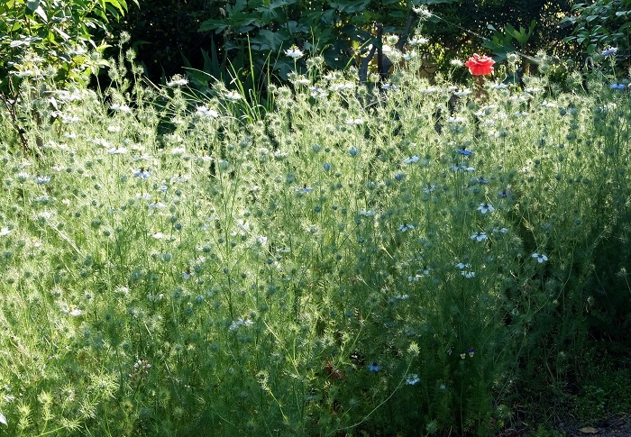 c0119197_09452204.jpg