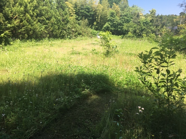 e0270198_19344994.jpg