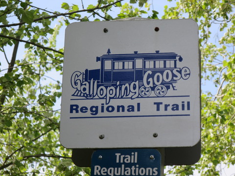 ヴィクトリアひとり旅☆Galloping Goose Trail を通ってSwan Lakeへ_c0212604_20184665.jpg