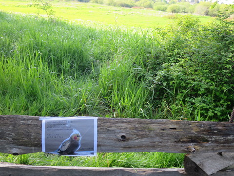 ヴィクトリアひとり旅☆Galloping Goose Trail を通ってSwan Lakeへ_c0212604_20211733.jpg