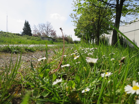 ヴィクトリアひとり旅☆Galloping Goose Trail を通ってSwan Lakeへ_c0212604_20452615.jpg