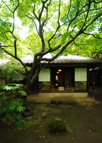 尾道の林芙美子の家_c0195909_10061342.jpg