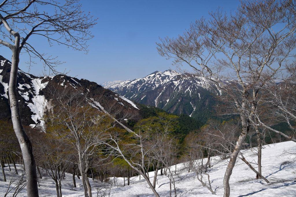 2017/5/20 谷川岳_a0340812_18001534.jpg