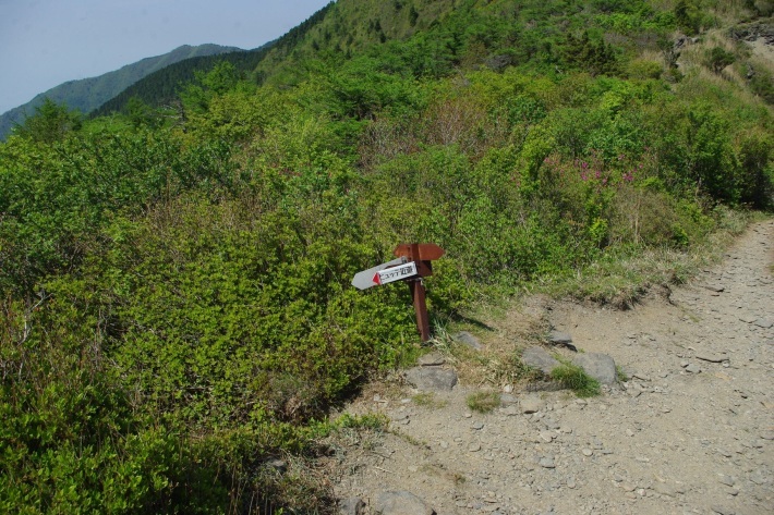 d0341514_09255284.jpg