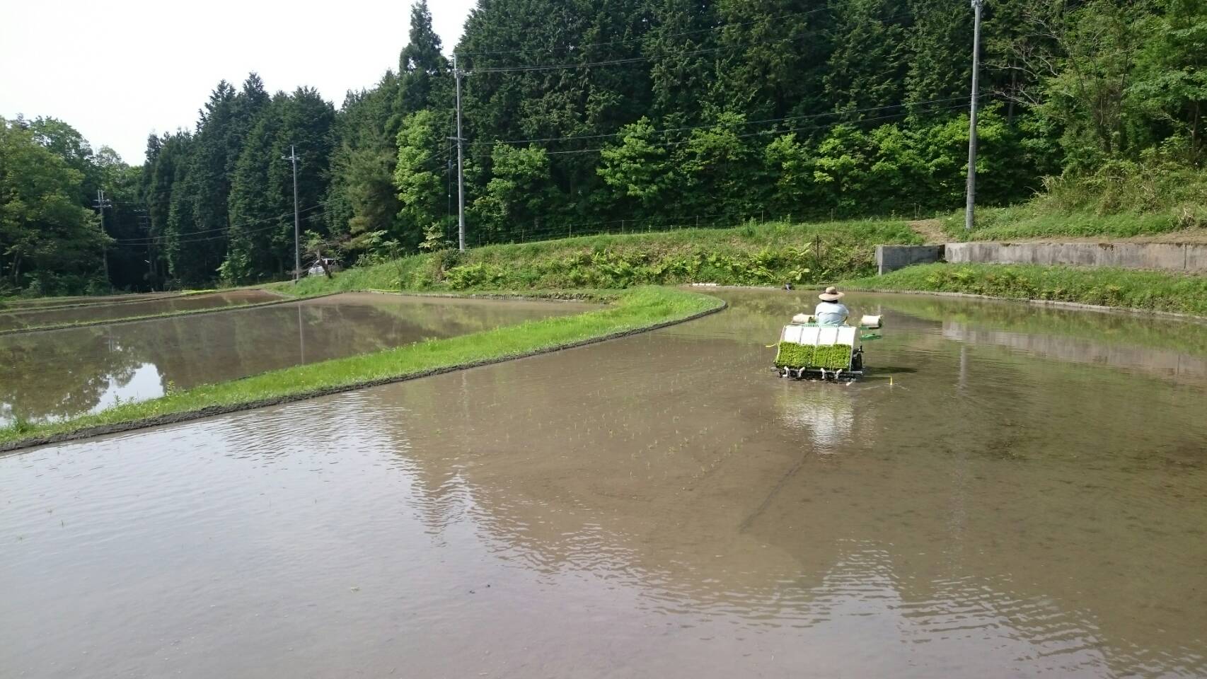 f0260120_22142638.jpg