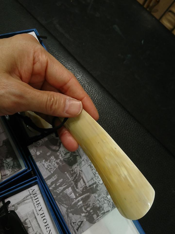 アビィシューホーン 入荷しています♪_b0226322_10392153.jpg
