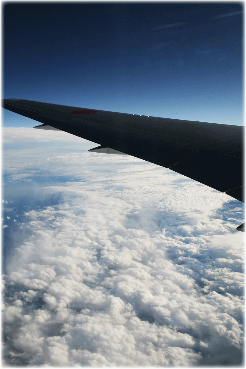 c0107829_09535785.gif