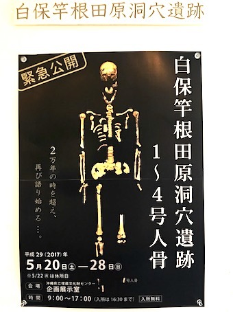 白保人骨に会いに行く 追跡アマミキヨ 白保人骨に会いに行く 追跡アマミキヨ