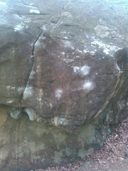 d0288435_20595266.jpg