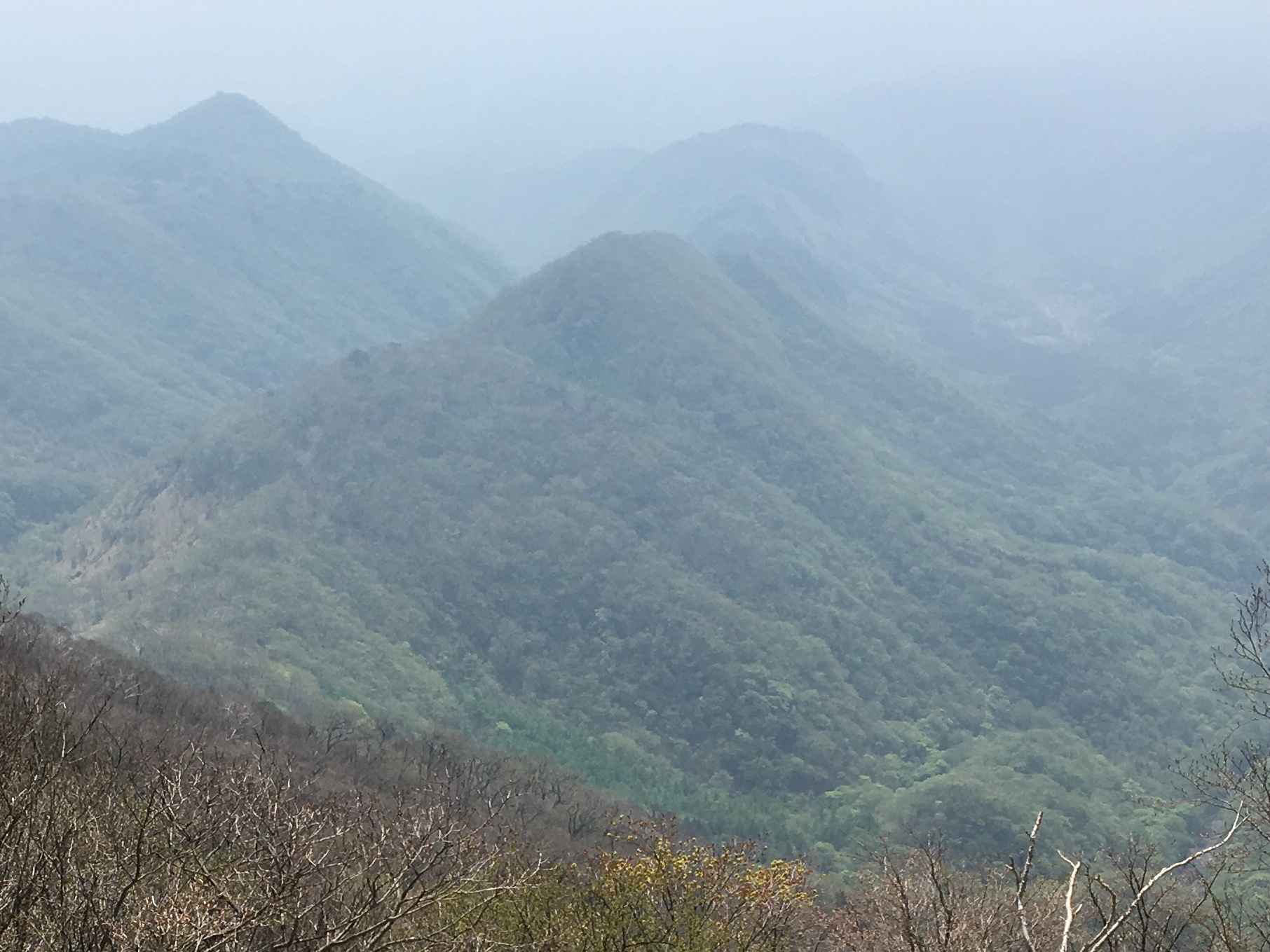 b0330040_03094580.jpg