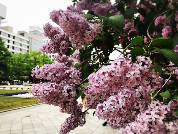 f0304452_23002155.jpg