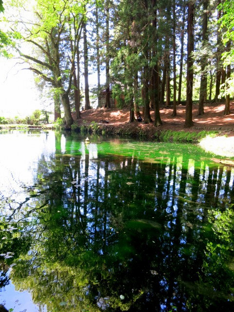 f0236260_21101275.jpg