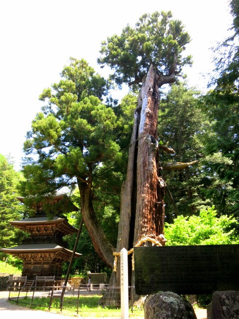 f0236260_21191403.jpg