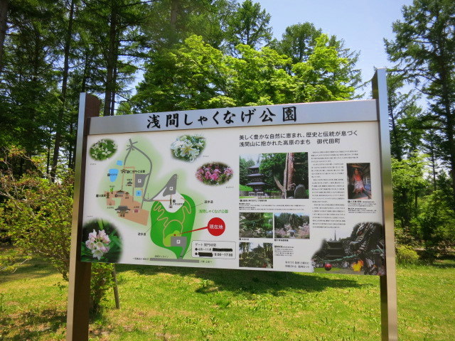 f0236260_21263435.jpg