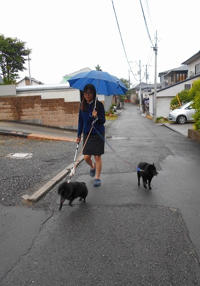 五月雨じゃ、濡れて参れ！_e0002466_19472593.jpg