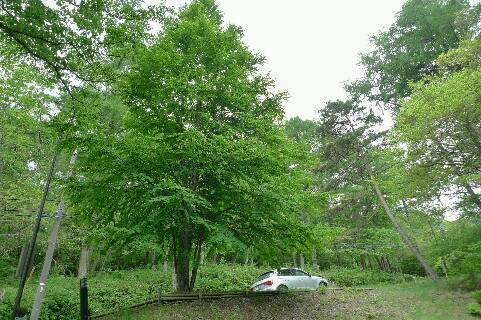 d0092767_09201062.jpg