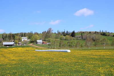 c0353373_03563288.jpg