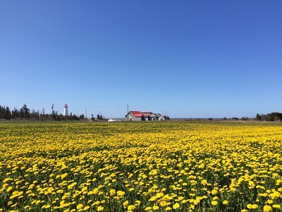 c0353373_03563975.jpg