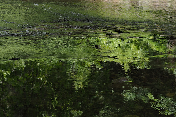 5.16 養老渓谷と大山千枚田②(6枚)_c0169275_20561740.jpg