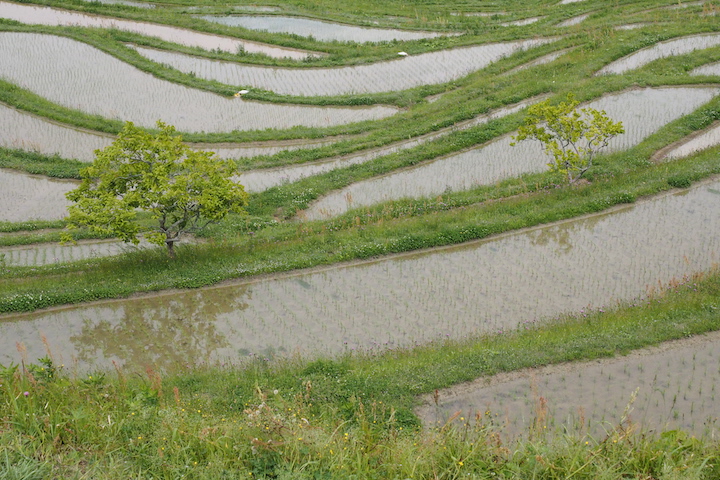 5.16 養老渓谷と大山千枚田④(5枚)_c0169275_21292891.jpg