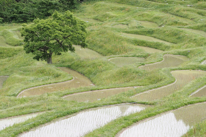 5.16 養老渓谷と大山千枚田④(5枚)_c0169275_21293566.jpg