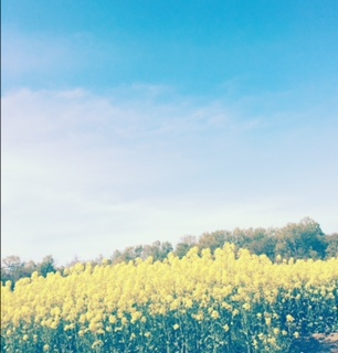 \(^o^)/_e0148776_11532683.jpg