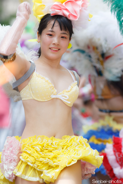 神戸まつり サンバストリート 17 Senbei Photo 神戸まつり サンバストリート 17 Senbei Photo