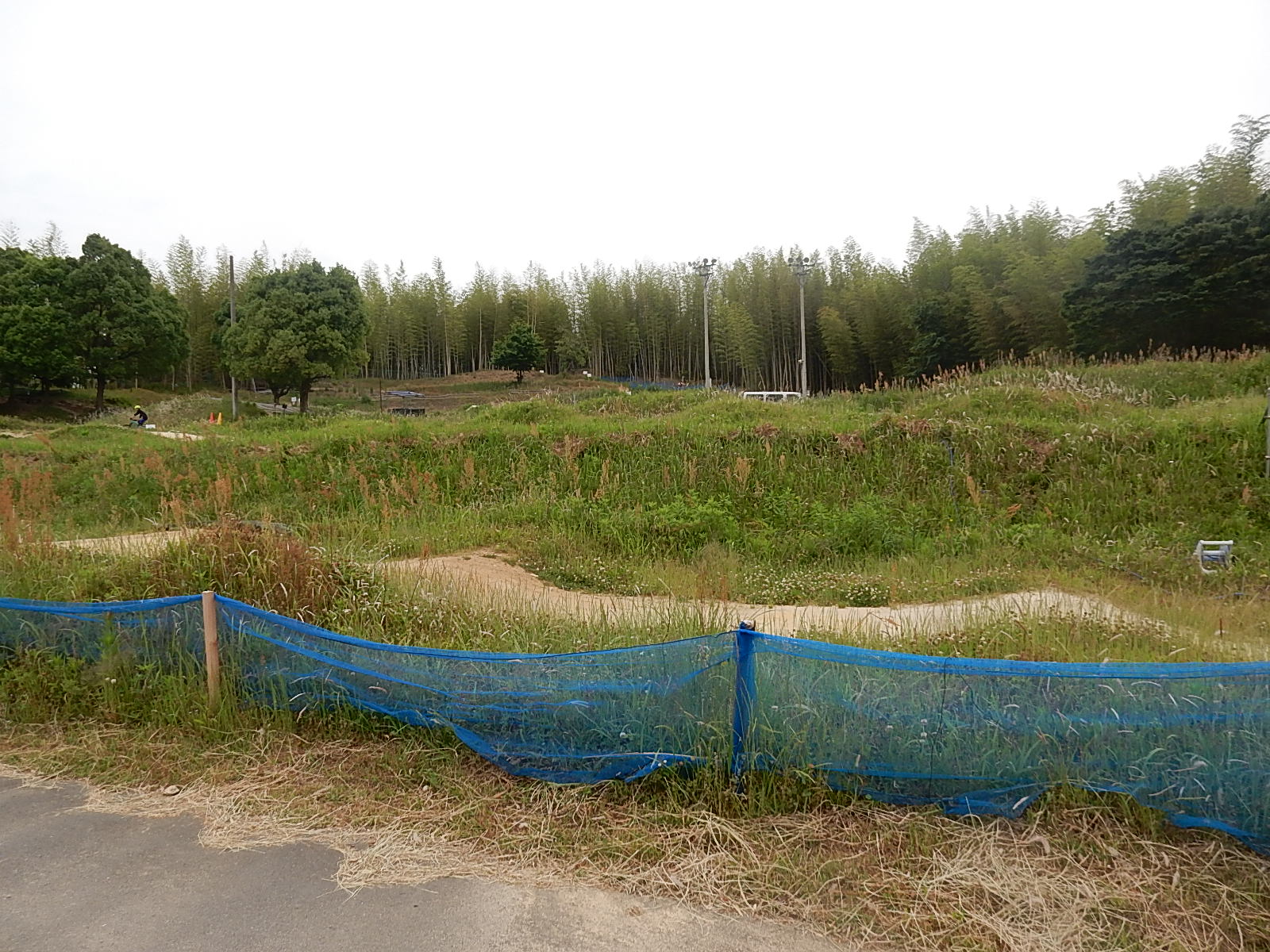 GONZO PARK_b0189682_14292519.jpg