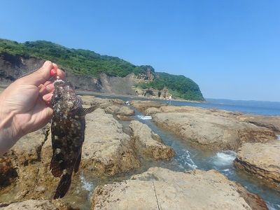 d0174683_0191530.jpg