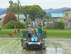 田植え体験(上目黒小・枝野小)_d0247484_14912.jpg