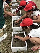 d0247484_1641184.jpg