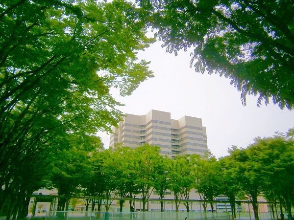 e0366084_14154603.jpg