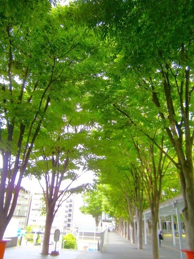 e0366084_14202484.jpg