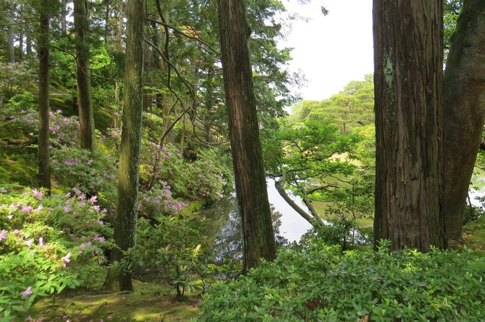 鹿児島地裁平成29年5月17日判決,転院の遅れで介護老人保健施設に1870万円の賠償命令(報道)_b0206085_9164611.jpg