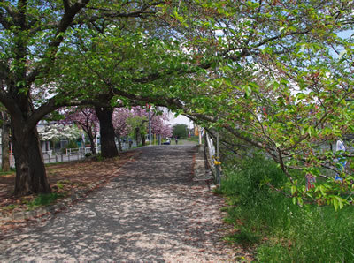 b0123486_13270721.jpg