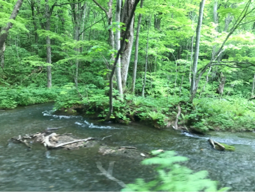 c0168986_20495631.jpg