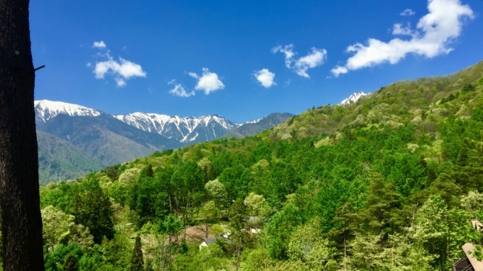 b0169887_22465719.jpg
