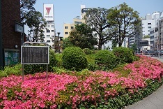 d0183387_19545925.jpg