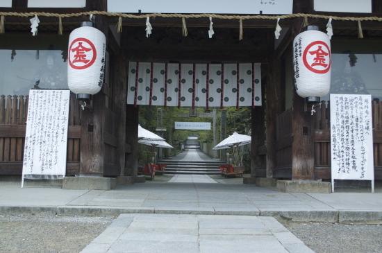 1年前のうどん -今さらながら島旅2016-_f0236691_10221126.jpg