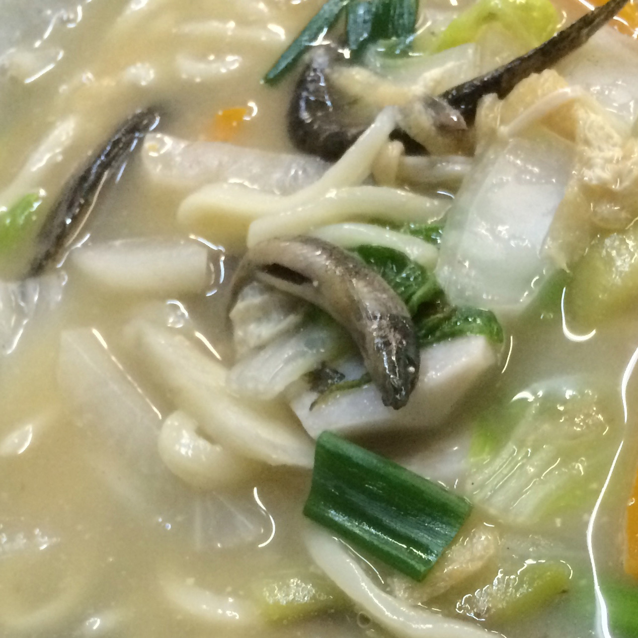 1年前のうどん -今さらながら島旅2016-_f0236691_23484845.jpg