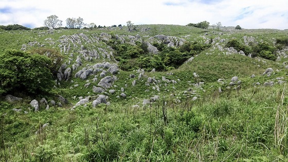 e0176993_06395420.jpg