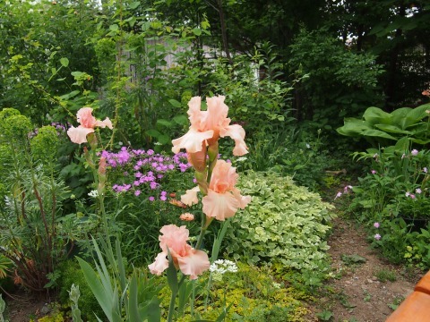 c0117007_23015495.jpg